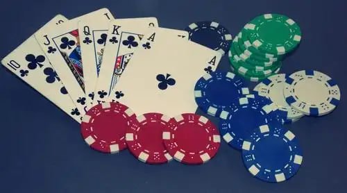 pingolbet